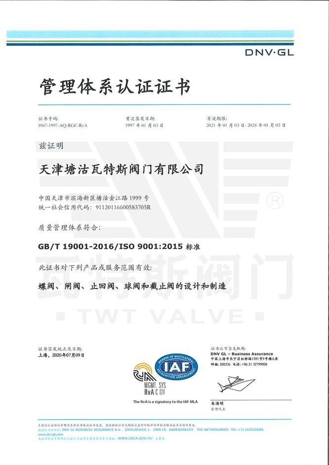 ISO-19001：2015质量体系认证中文